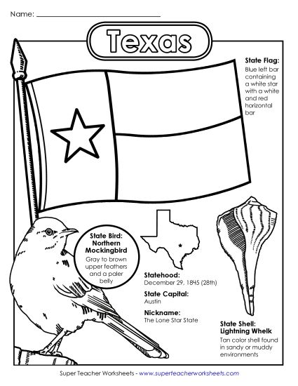 Symbols - Texas State Symbols Coloring Page (Printable PDF Worksheet)