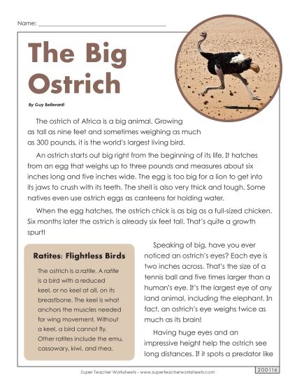 Nonfiction Articles - The Big Ostrich (Article) (Printable PDF Worksheet)
