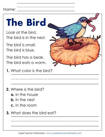Reading Comprehension and  Additional ELA Skills - The Bird (Printable PDF Worksheet)