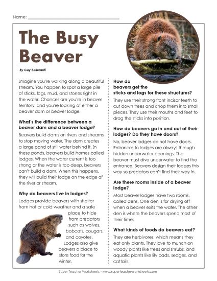Nonfiction - The Busy Beaver (Printable PDF Worksheet)