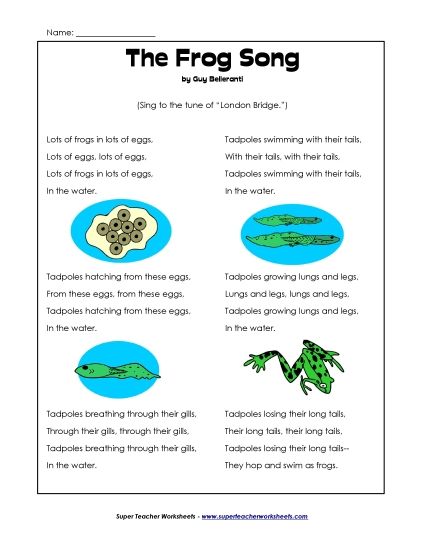 Songs - The Frog Song (Printable PDF Worksheet)