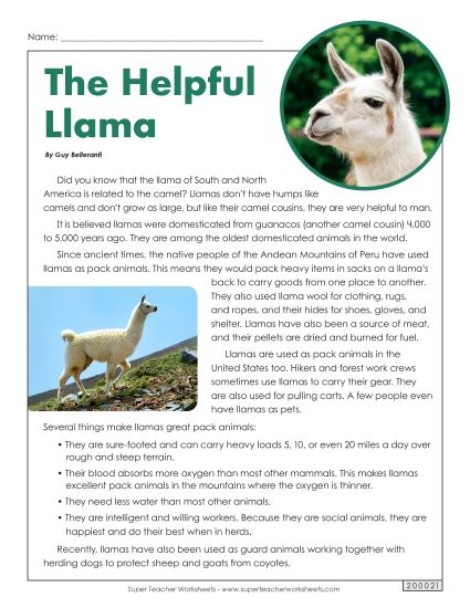 Nonfiction Articles - The Helpful Llama (Printable PDF Worksheet)
