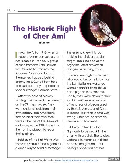 Articles - The Historic Flight of Cher Ami World War I Passage (Printable PDF Worksheet)