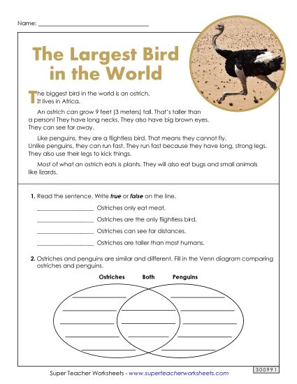 Short Passages - The Largest Bird in the World (Nonfiction) (Printable PDF Worksheet)