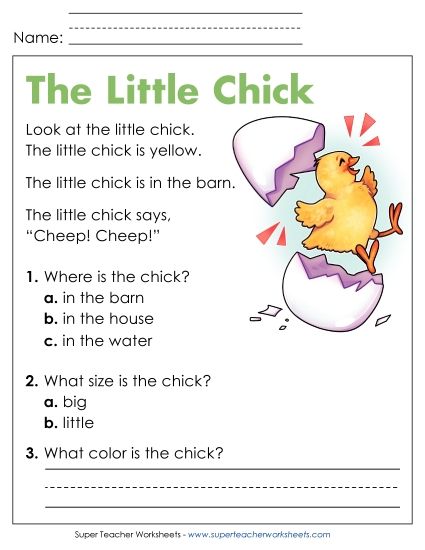 Reading Comprehension and  Additional ELA Skills - The Little Chick (Printable PDF Worksheet)