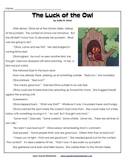Reading Comprehension Fiction - The Luck of the Owl  (Printable PDF Worksheet)