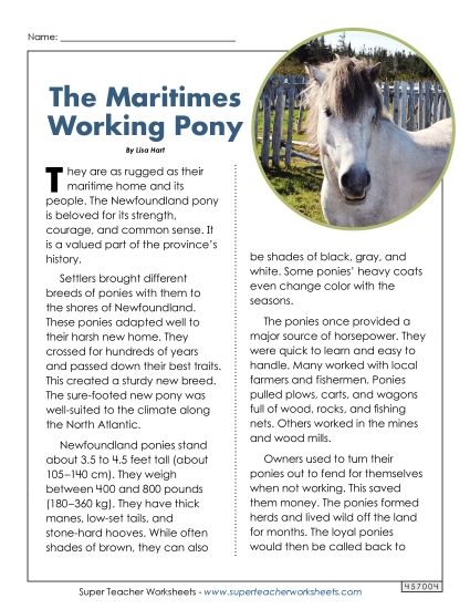 Reading Comprehension - The Maritimes Working Pony Article and Questions (Printable PDF Worksheet)