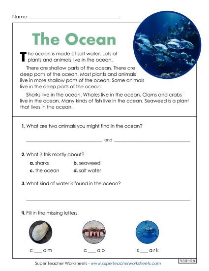 Reading Comprehension - The Ocean (Short Reading Passage) (Printable PDF Worksheet)