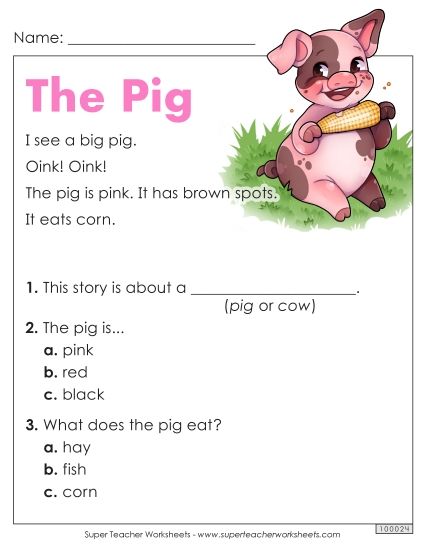 Passages with Basic Reading Comprehension Questions - The Pig (Printable PDF Worksheet)