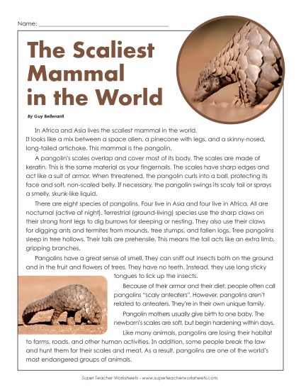 Nonfiction Articles - The Scaliest Mammal in the World (Printable PDF Worksheet)