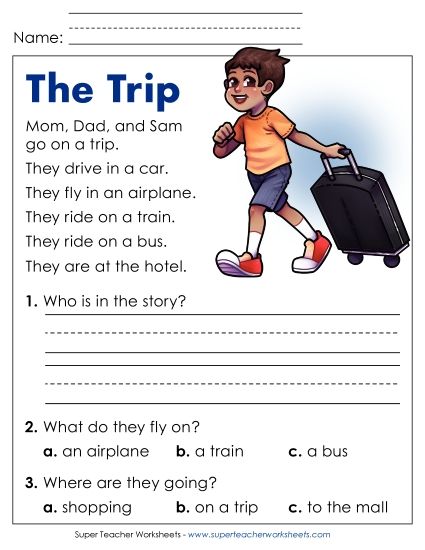 Reading Comprehension and  Additional ELA Skills - The Trip (Printable PDF Worksheet)