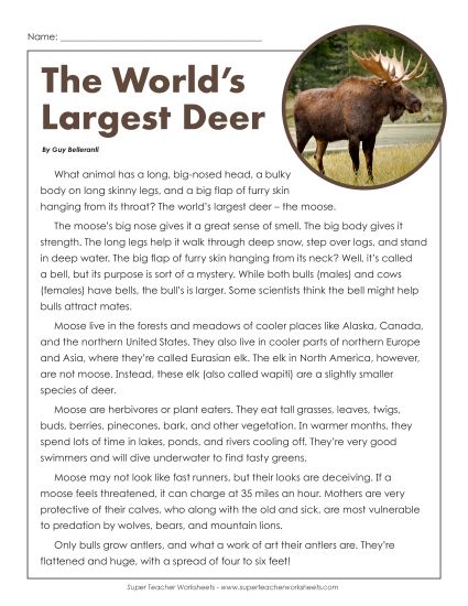 Nonfiction Articles - The World's Largest Deer (Printable PDF Worksheet)