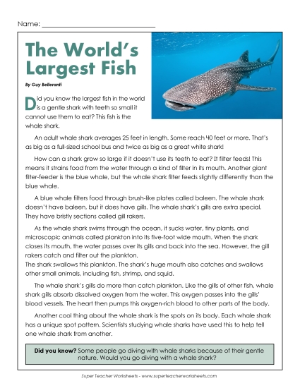 Nonfiction Articles - The World's Largest Fish (Printable PDF Worksheet)