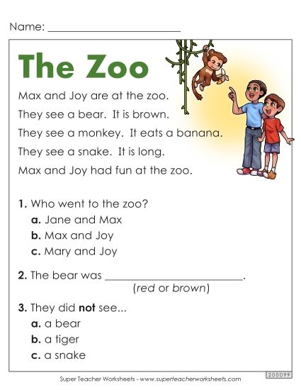 Passages with Basic Reading Comprehension Questions - The Zoo (Printable PDF Worksheet)