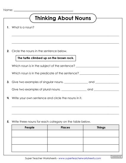 Mixed Noun Skills - Thinking About Nouns (Printable PDF Worksheet)