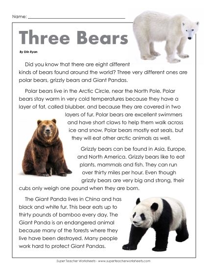 Nonfiction Articles - Three Types of Bears (Printable PDF Worksheet)