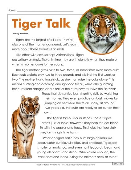 Mammals - Tigers (Printable PDF Worksheet)