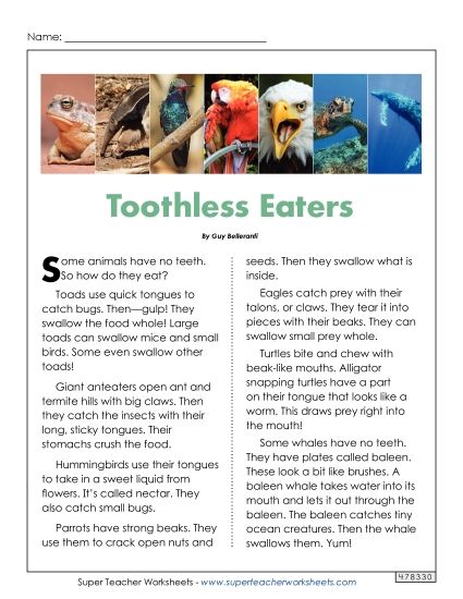 Nonfiction Articles - Toothless Eaters (Printable PDF Worksheet)