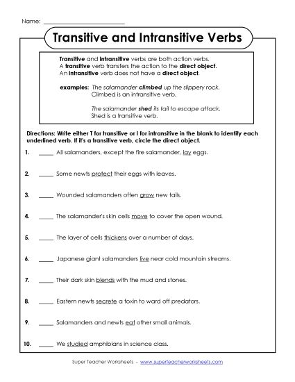 Transitive and Intransitive Verbs (Printable PDF Worksheet)