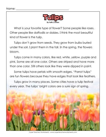 Reading Comprehension - Tulips (Non-Fiction) (Printable PDF Worksheet)
