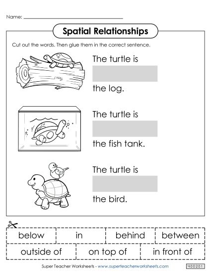 Cut & Glue Activities - Turtle Cut & Glue (Printable PDF Worksheet)