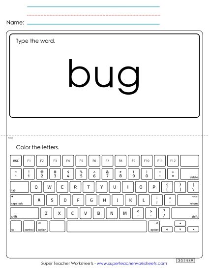 Type the Word: Bug (Printable PDF Worksheet)