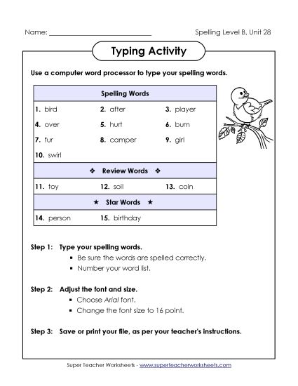 Worksheets - Typing Activity (B-28)  (Printable PDF Worksheet)