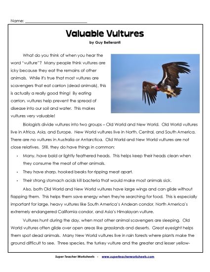 Nonfiction - Valuable Vultures  (Printable PDF Worksheet)