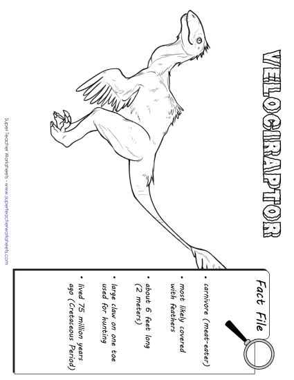 Dino Fact Files - Velociraptor Fact File (Printable PDF Worksheet)