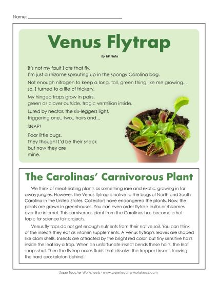 Poems - Venus Flytraps (Article & Poem) (Printable PDF Worksheet)