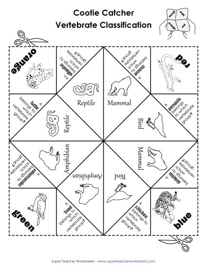 Foldables - Vertebrate Classifications: Foldable Fortune Teller (Printable PDF Worksheet)