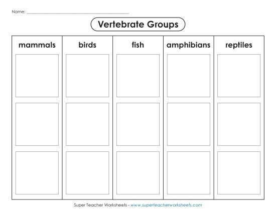 Vertebrate Classification - Vertebrate: Cut, Sort, & Glue (Printable PDF Worksheet)