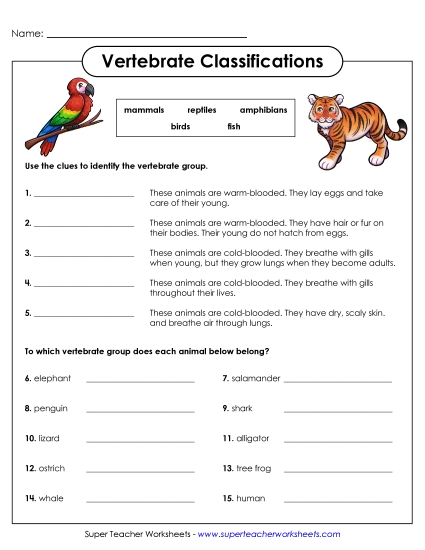 Vertebrate Classification - Vertebrate Questions (Printable PDF Worksheet)