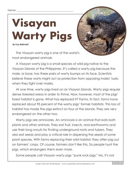 Nonfiction Articles - Visayan Warty Pig (Printable PDF Worksheet)