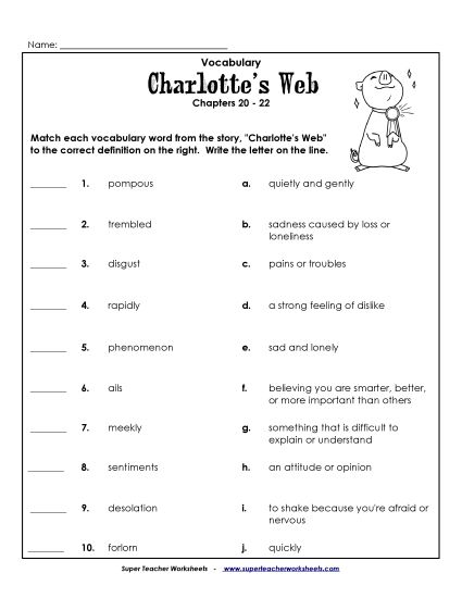 Chapters 20 - 22 - Vocab for Chapters 20-22 (Printable PDF Worksheet)