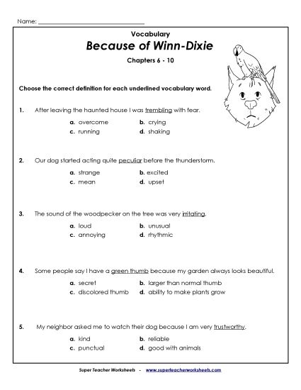 Chapters 6-10 - Vocab. for Chapters 6-10 (Printable PDF Worksheet)