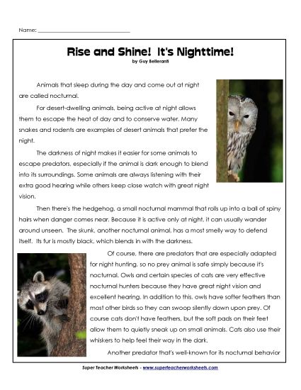 Nonfiction Articles - Wake Up!&nbsp; It's Nighttime! (Article) (Printable PDF Worksheet)
