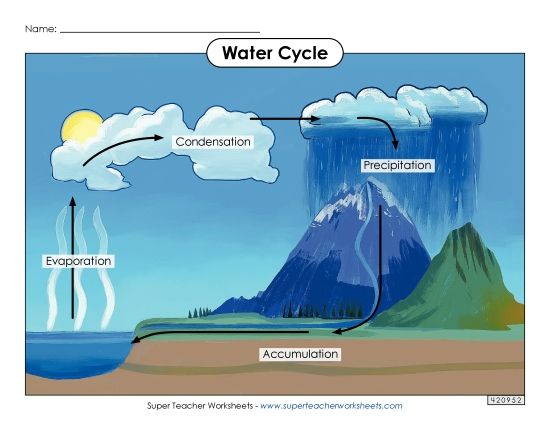 Water Cycle Picture (Printable PDF Worksheet)