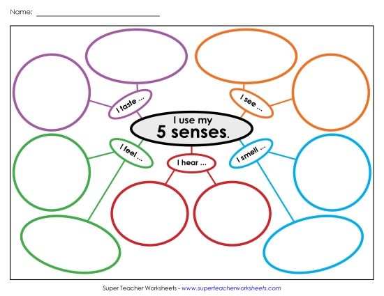 Graphic Organizers - Web #2:  Five Senses (Printable PDF Worksheet)