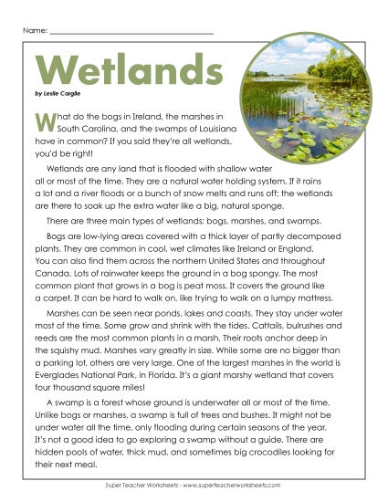 Nonfiction Articles - Wetlands (Article) (Printable PDF Worksheet)