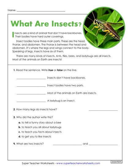 Short Passages - What Are Insects? (Short, Nonfiction) (Printable PDF Worksheet)