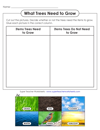 Cut & Paste Activities - What Trees Need to Grow (Printable PDF Worksheet)
