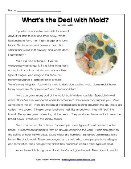 Nonfiction Articles - What's the Deal with Mold?  (Printable PDF Worksheet)