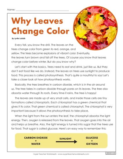 Reading Comprehension - Why Leaves Change Color (Article) (Printable PDF Worksheet)