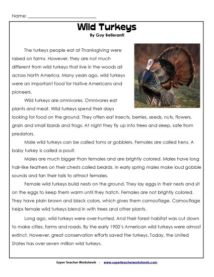 Thanksgiving Reading Comprehension - Wild Turkeys (Non-Fiction) (Printable PDF Worksheet)