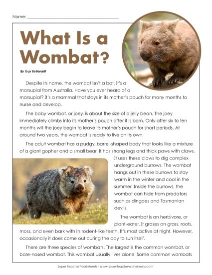 Nonfiction Articles  - Wombat (Printable PDF Worksheet)