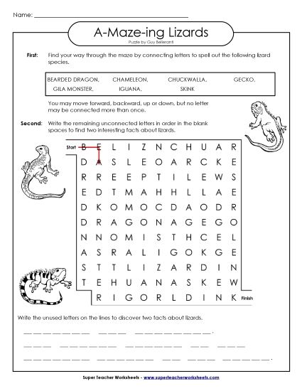 Word-Maze Puzzles - Word Maze: Lizards (Reptiles) (Printable PDF Worksheet)
