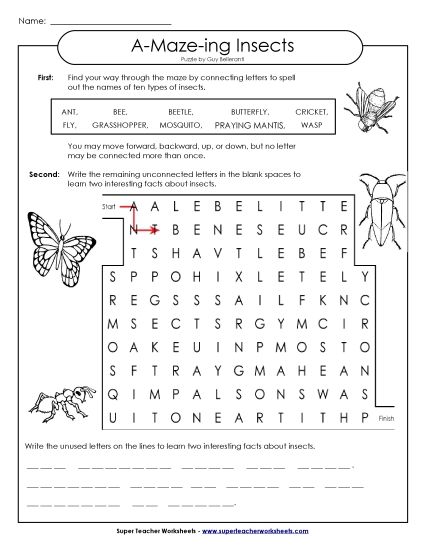 Word-Maze Puzzle: Insects (Printable PDF Worksheet)