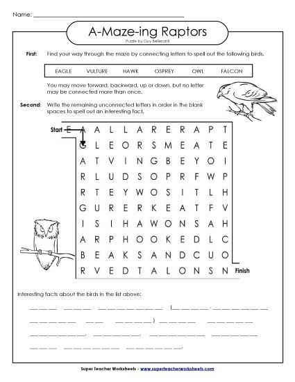 Word-Maze Puzzles - Word Maze: Raptors (Birds) (Printable PDF Worksheet)