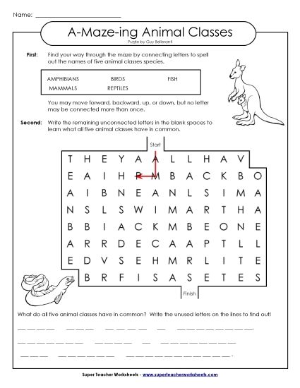 Word-Maze Puzzles - Word Maze: Vertebrates (Printable PDF Worksheet)